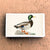 Matches • Mallard Duck • Home Decor for Candles and Incense
