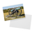 Chickamauga_Post_Card_Cannon_H_Mockup_5_Mockup.png_15363531