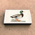 Matches • Mallard Duck • Home Decor for Candles and Incense