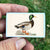 Matches • Mallard Duck • Home Decor for Candles and Incense